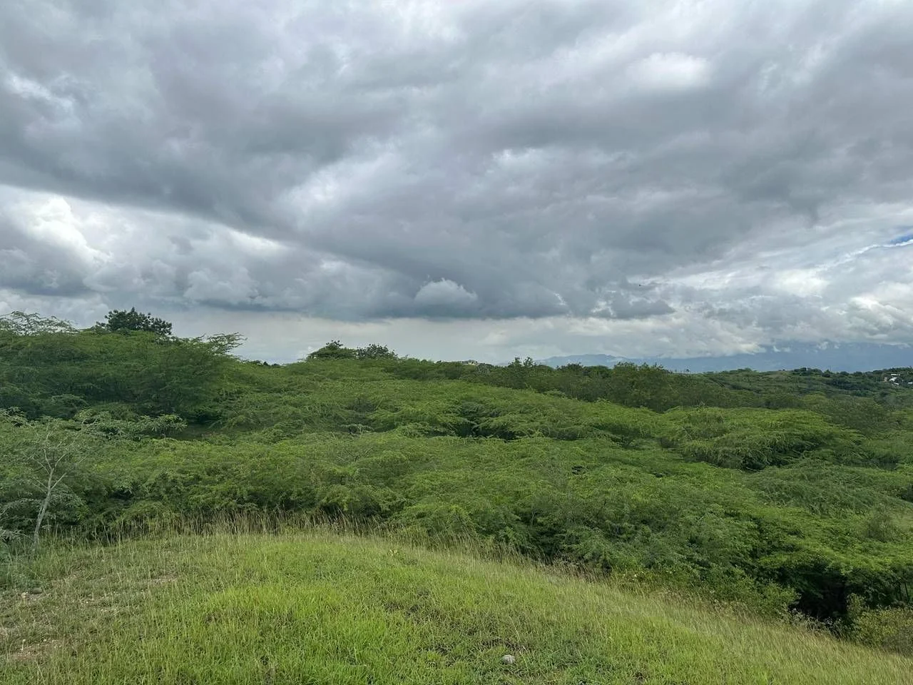 La Barranquita: terreno en venta - 4