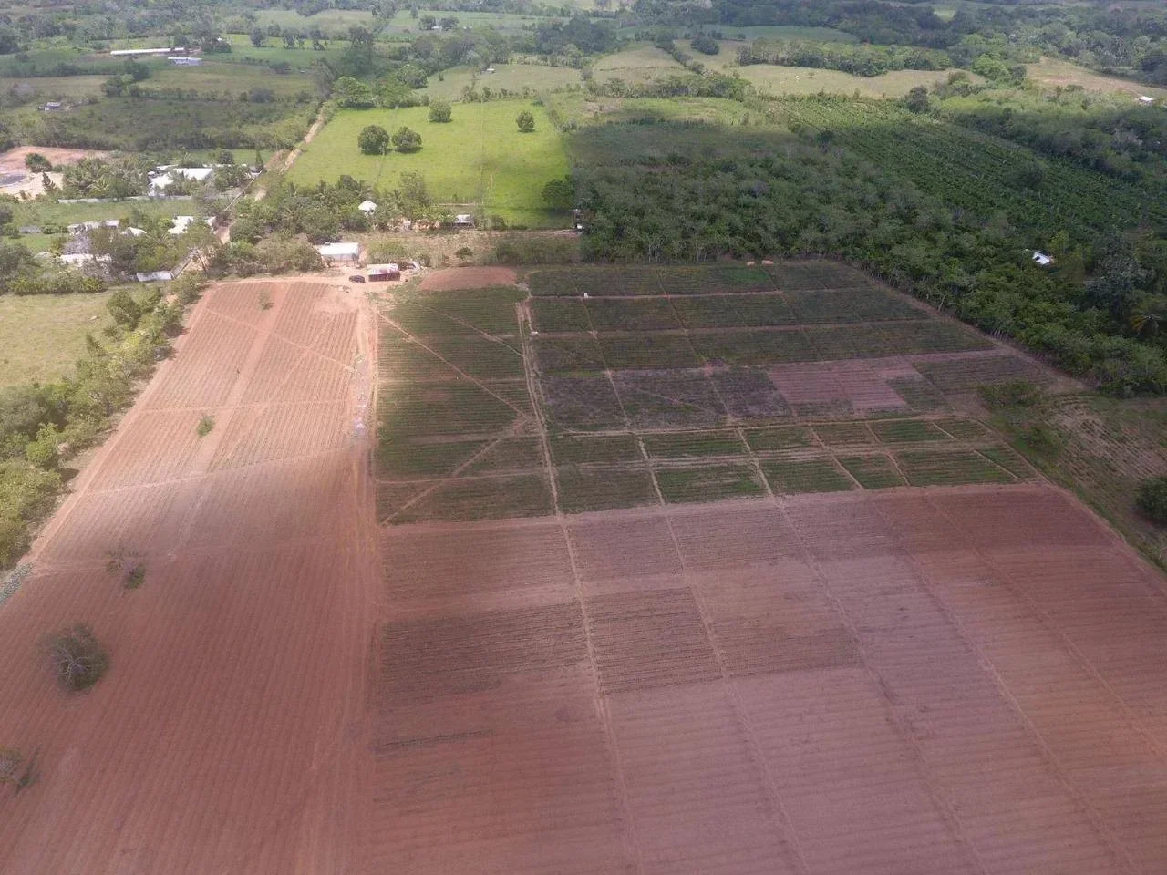 Terreno en venta — Los Botados, Yamasa - 4