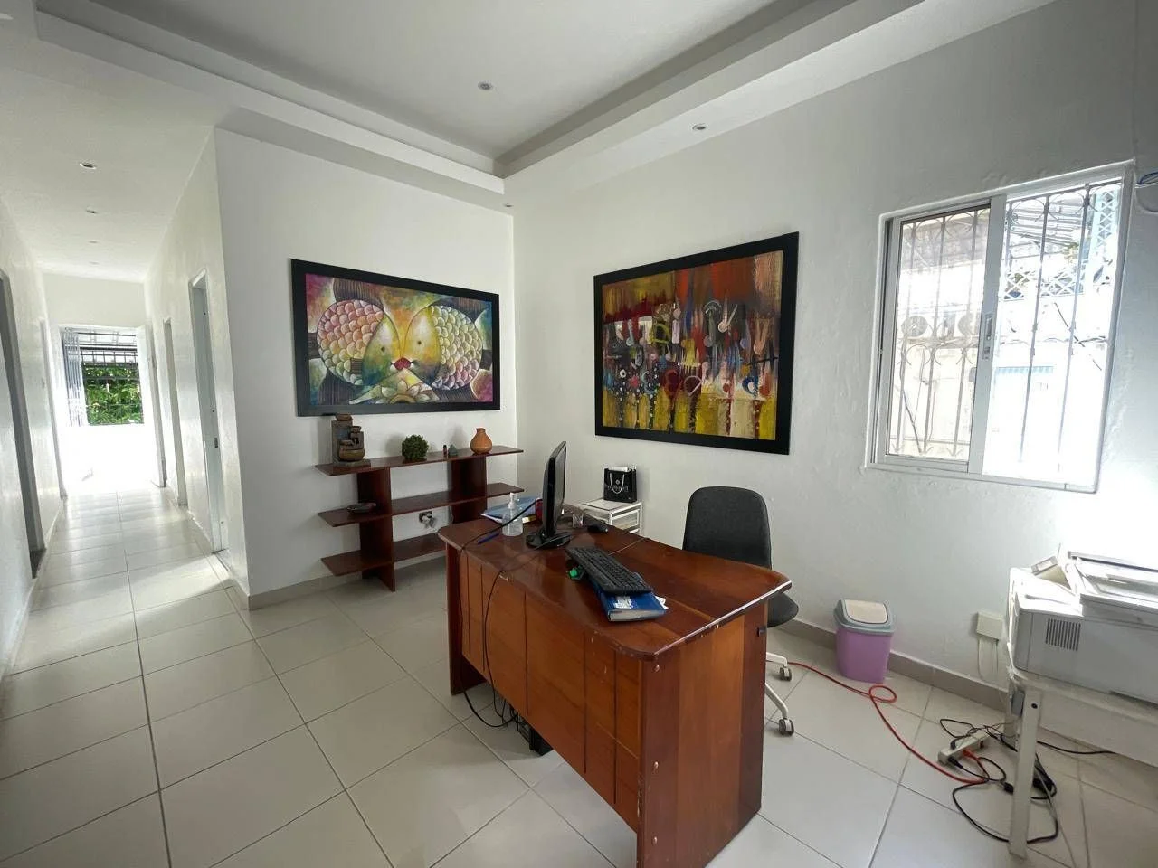 Location: local commercial à Gazcue, Santo Domingo D.N. - 3