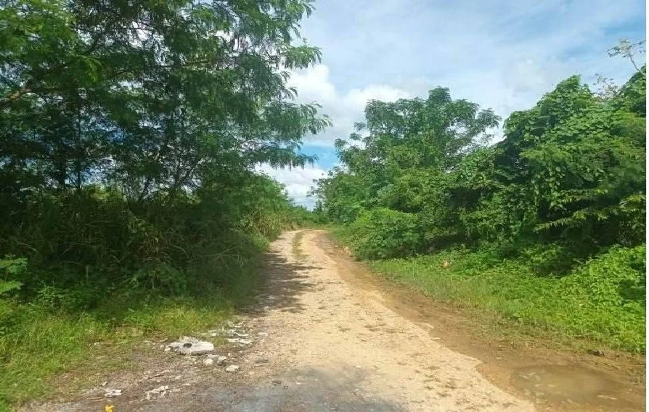 Vente: terrain à Urbanización Las Acacias, Santo Domingo Este