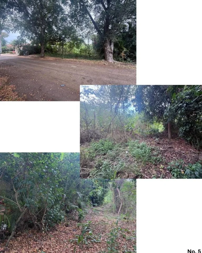 Terreno en venta en Metro, Guayacanes - 2