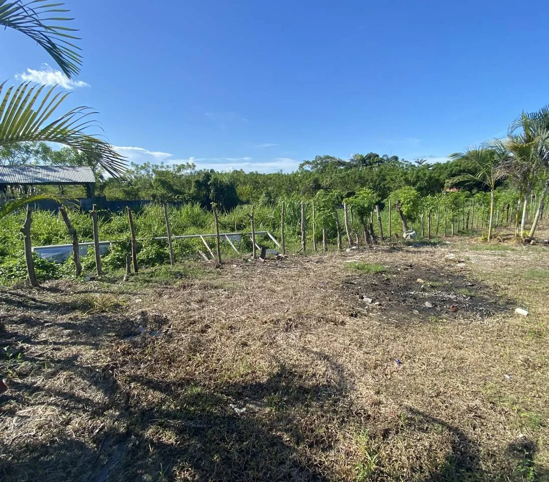 Venta: terreno en El Cabreto, Santo Domingo Este - 3