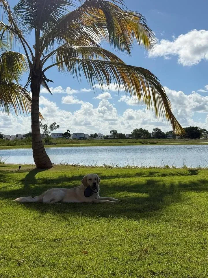Apartamento en venta — Vista Cana, Bavaro (3 hab.) - 2
