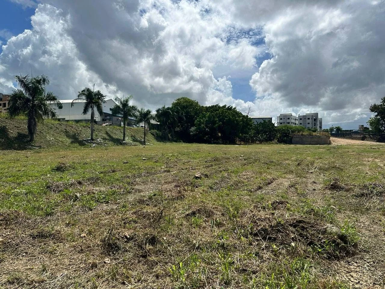 Terreno en venta — La Guáyiga, Pedro Brand - 2