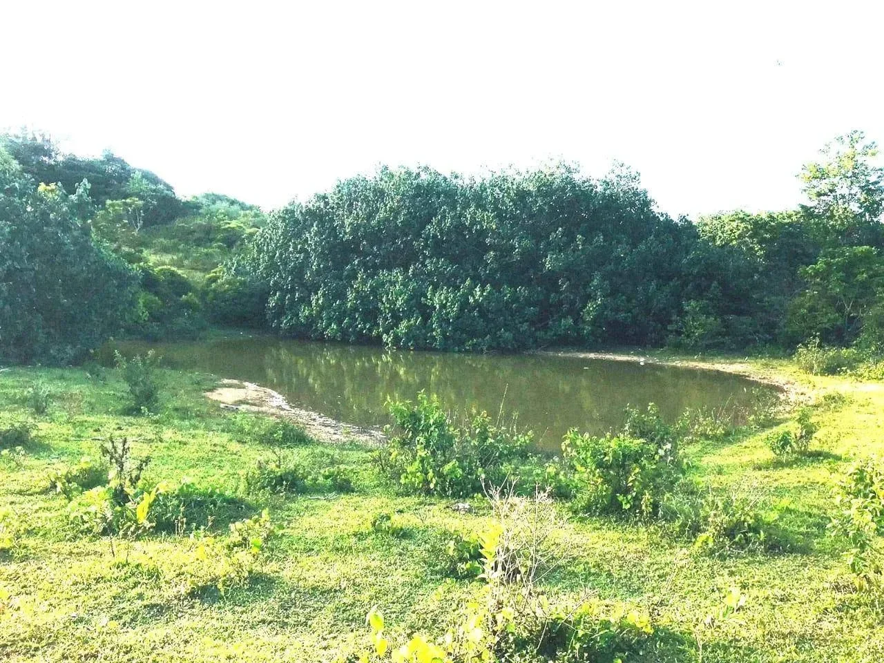 Land plot in Las Guázaras for sale