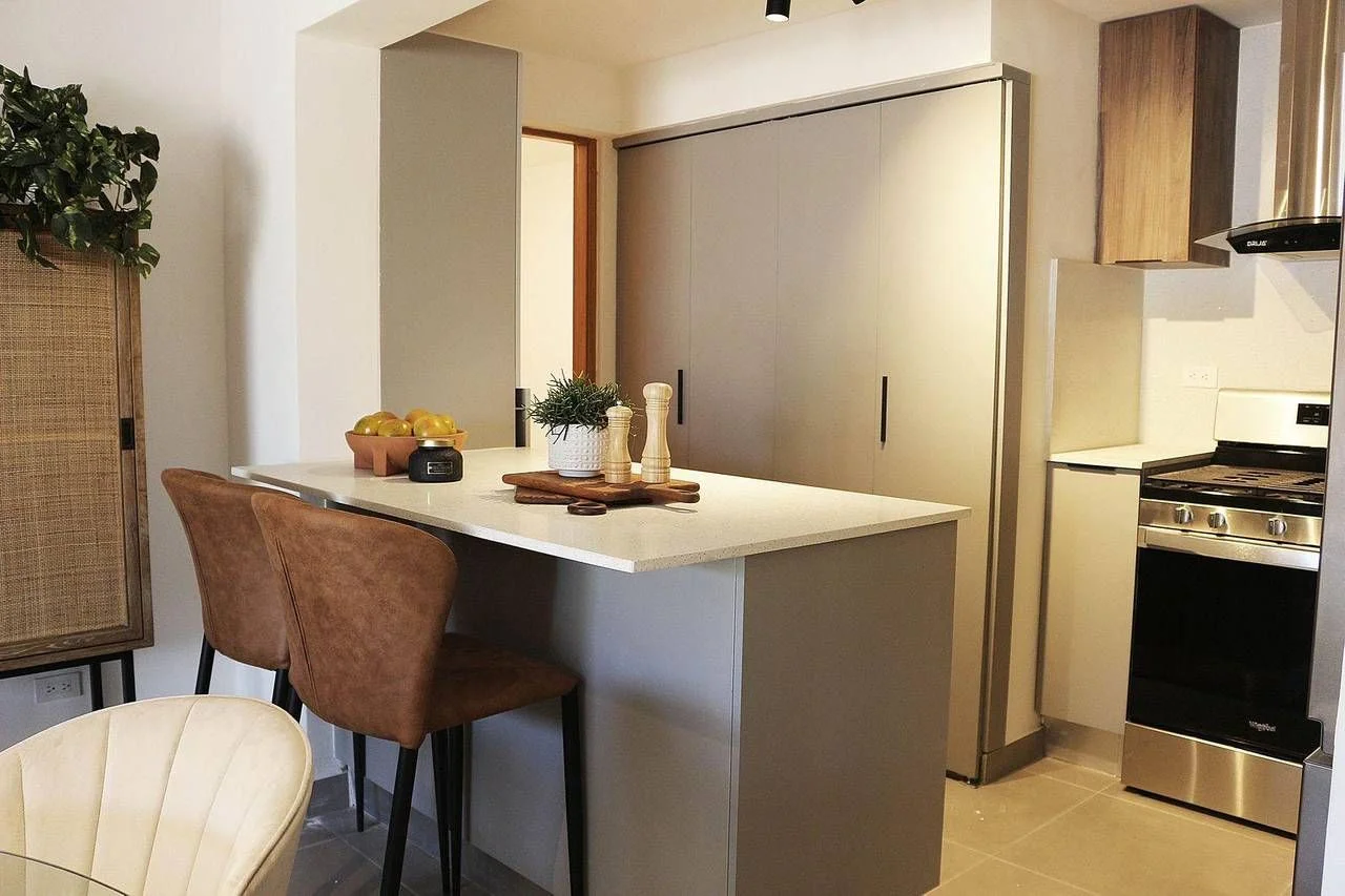 Sale: apartment in Gazcue, Santo Domingo D.N. - 3