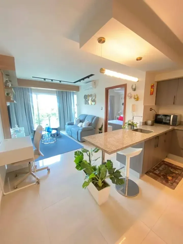 Vente: appartement à Gazcue, Distrito Nacional - 4
