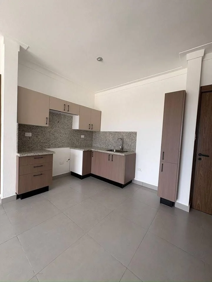 Apartment for rent — El Millon, Santo Domingo D.N. (1 bed)